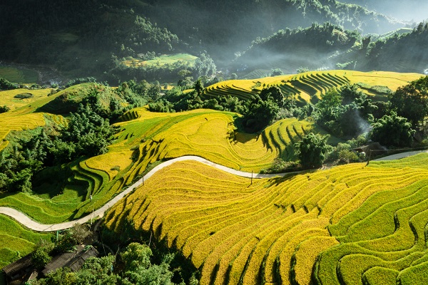Sapa tours by bus 2 days (Homestay)